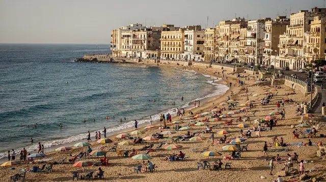 Alexandria north coast
