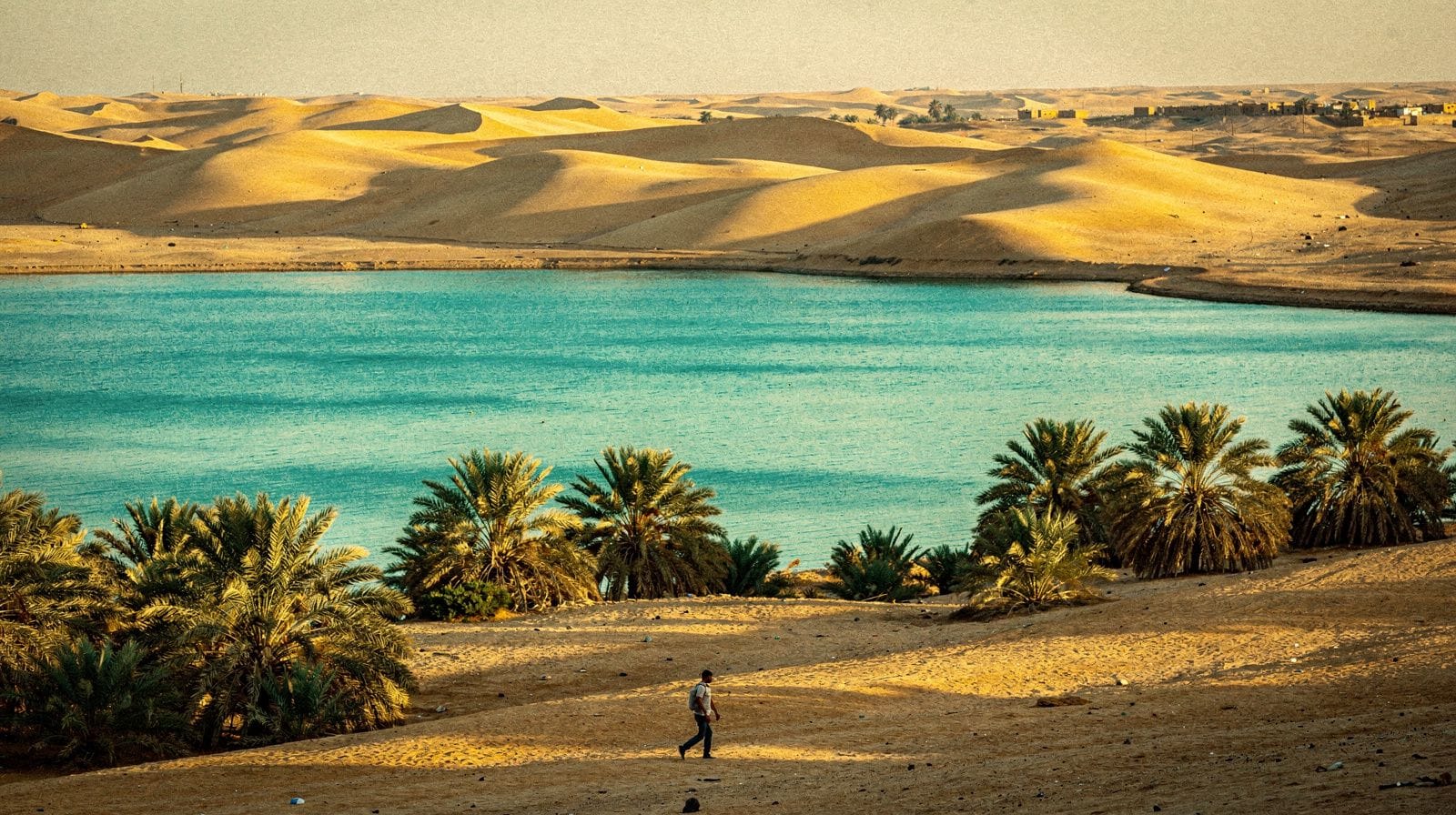 Fayoum en de westelijke woestijn