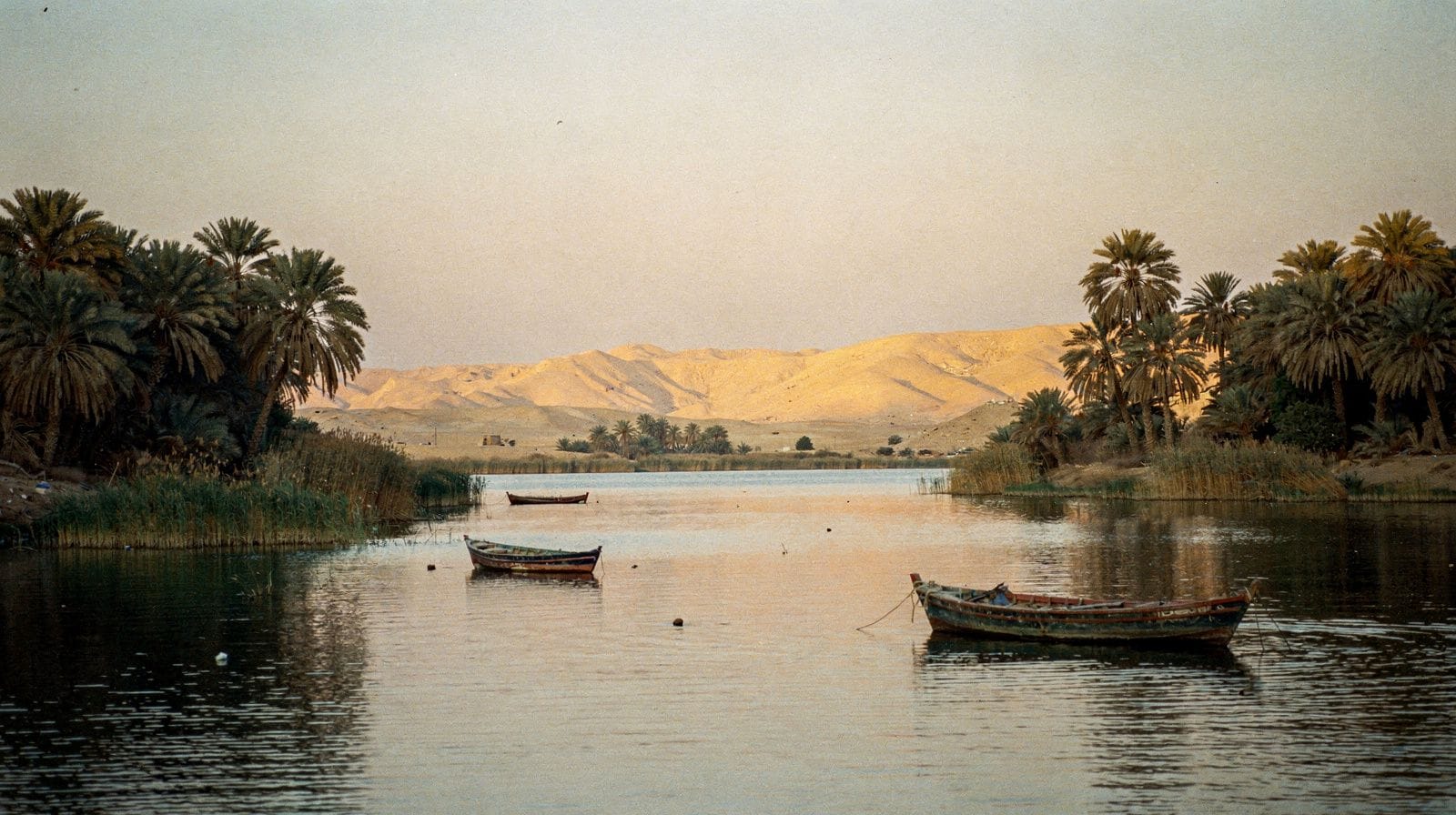 Fayoum dagtrips vanuit Caïro: meren, walvisfossielen en een pottenbakkersdorp