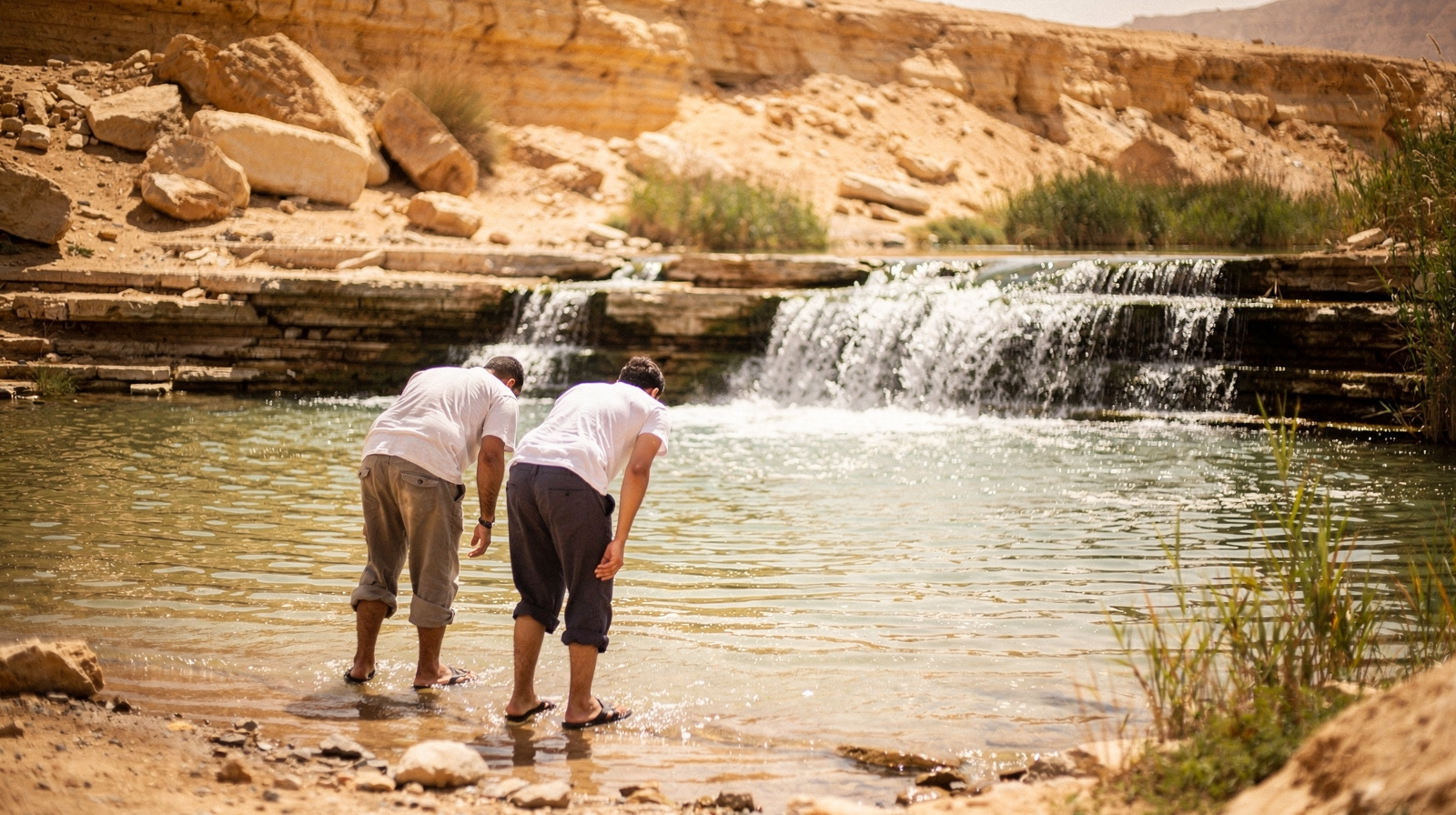 Things to do in Fayoum