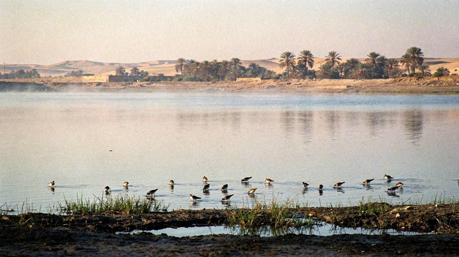 Wadi El Rayan : lacs et cascades dans le désert du Fayoum